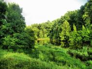 Пеньківка з panoramio.com