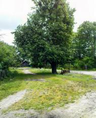 Бужок з panoramio.com