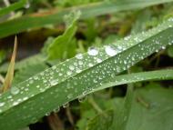 Лажева з panoramio.com