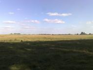 Свинарин з panoramio.com