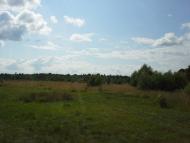 Вирка з panoramio.com