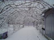 Верхоли з panoramio.com