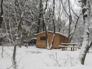 Підлісне з panoramio.com