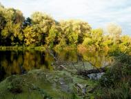 Довге з panoramio.com