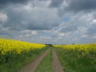 Арциз з panoramio.com