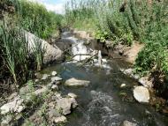 Оріхове з panoramio.com