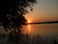 Rybynske - Latest photos