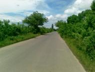 Чома з panoramio.com