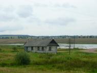 Кошечки з panoramio.com