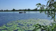 Гола Пристань з panoramio.com - Gola Prystan