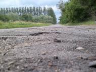 Губичі з panoramio.com