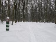 Заріг з panoramio.com