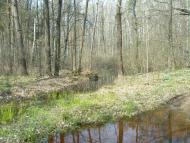 Яменець з panoramio.com