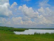 Кузнецове з panoramio.com