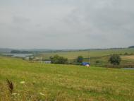 Бузовиця - Останні фото