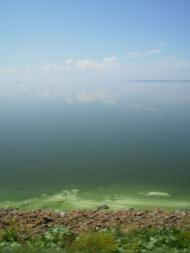 Плавні з panoramio.com