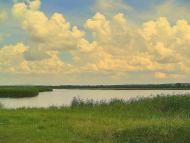 Кузнецове з panoramio.com