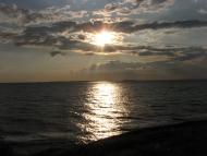 Плавні з panoramio.com