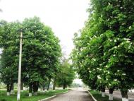 Заріг з panoramio.com