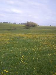 Богородичин з panoramio.com