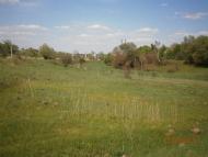 Дем'янка-Наддністрянська з panoramio.com