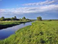 Текля з panoramio.com