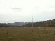 Синапне з panoramio.com