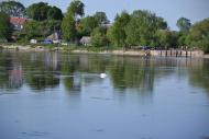 Пашківці з panoramio.com