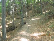 Хорови з panoramio.com