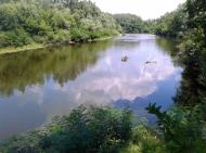 Омельник з panoramio.com