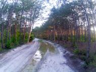 Прохладне з panoramio.com