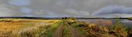 Кузнецове з panoramio.com