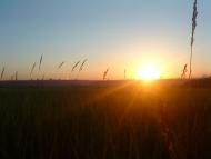 Новослобідка з panoramio.com