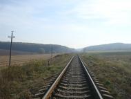 Лісоводи з panoramio.com