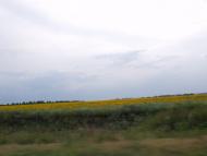 Димитрова - Останні фото