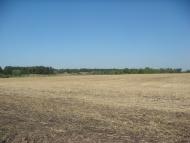 Окнине з panoramio.com