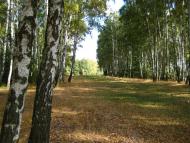 Пристанційне з panoramio.com