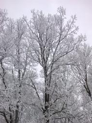 Газове з panoramio.com