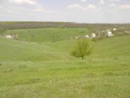 Липці з panoramio.com