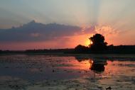 Пашківці з panoramio.com