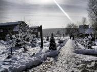 Бар з panoramio.com