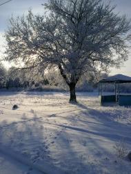 Петропавлівка з panoramio.com