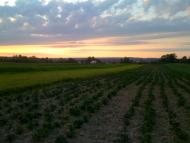 Замок з panoramio.com