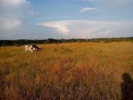 Юрки з panoramio.com