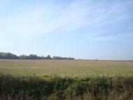 Лісоводи з panoramio.com