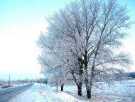 Заріг з panoramio.com