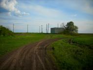 Наливайкове - Останні фото