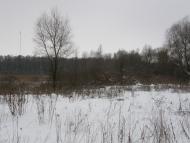 Заріг з panoramio.com