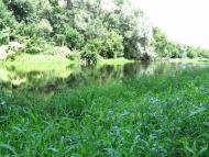 Кам'яне з panoramio.com