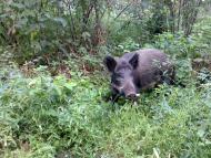 Ізбицьке з panoramio.com